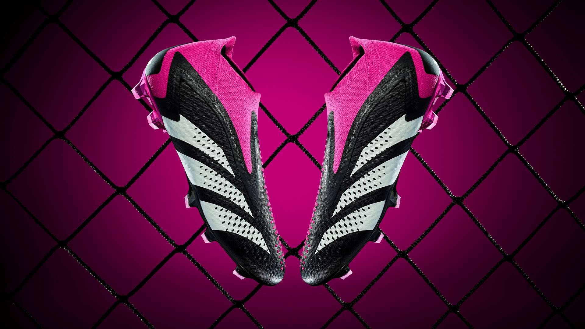 黄蜂队若想 黄蜂队若想